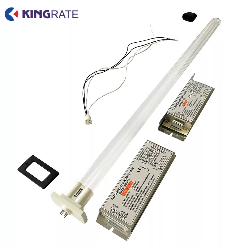 U-Shaped UV Lamps